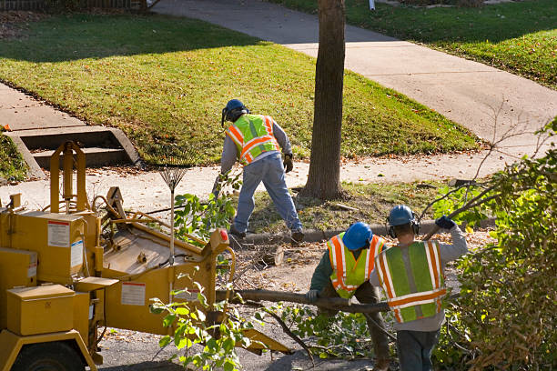 Lawn Drainage Solutions in Papillion, NE